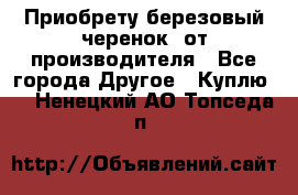 Приобрету березовый черенок  от производителя - Все города Другое » Куплю   . Ненецкий АО,Топседа п.